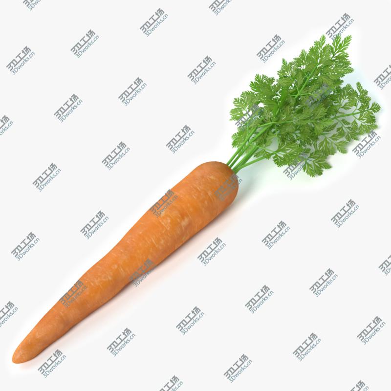images/goods_img/2021040235/Carrot 2/1.jpg